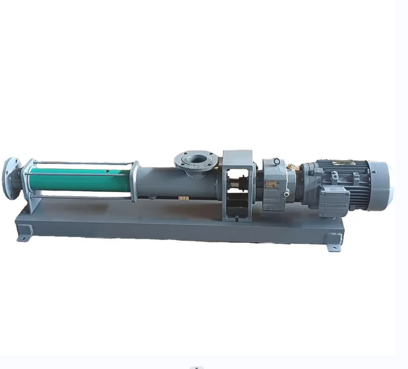 Sludge transfer screw pump